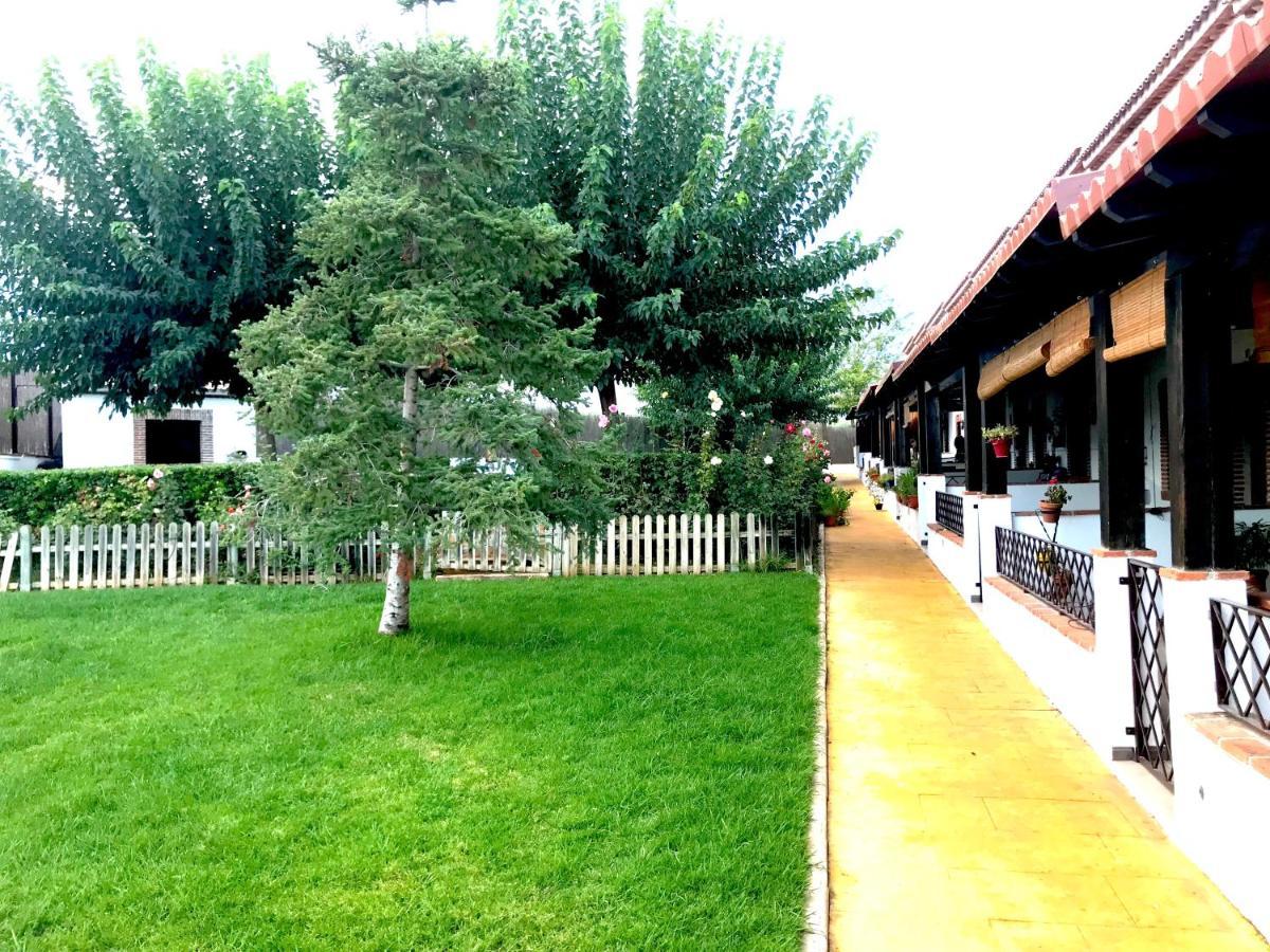 Apartamento Rural Villa Aurora Luque Esterno foto